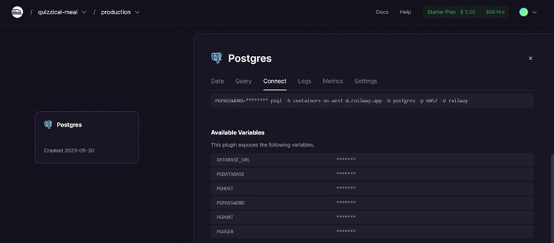 _images/credentials_railwaypostgres.png