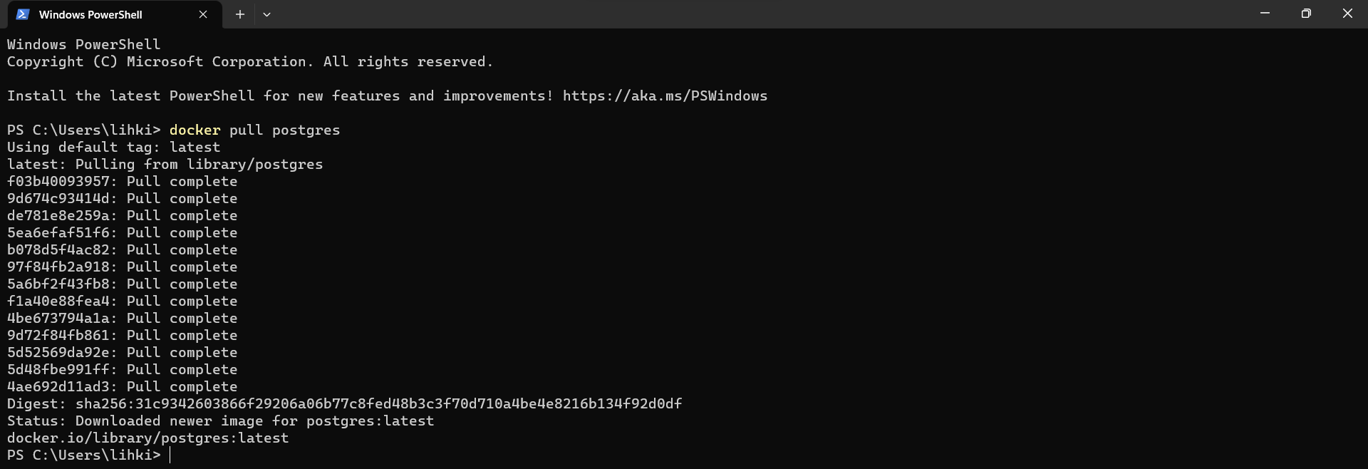 _images/docker_pullpostgres.png