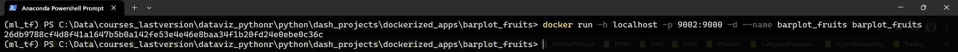 _images/docker_run.png