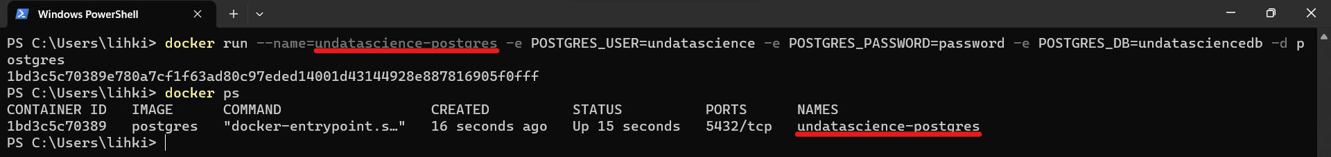 _images/postgres_name.png
